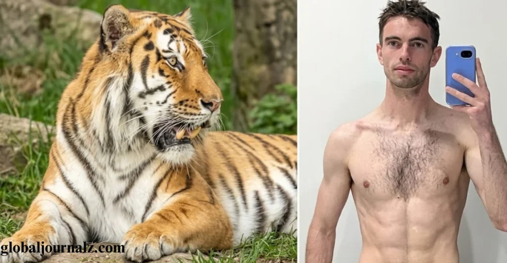 William Chapman and Fatal Tiger Attack at Yorkshire Wildlife Park